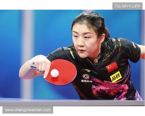 全国锦标赛特别报道：成都篮球队不屈不挠的奋斗历程与荣耀时刻